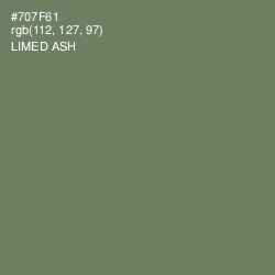 #707F61 - Limed Ash Color Image